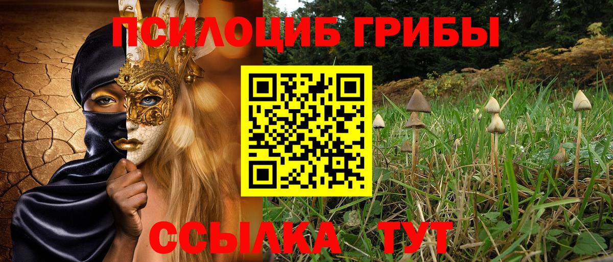 Псилоцибиновые грибы мухоморы Сегежа