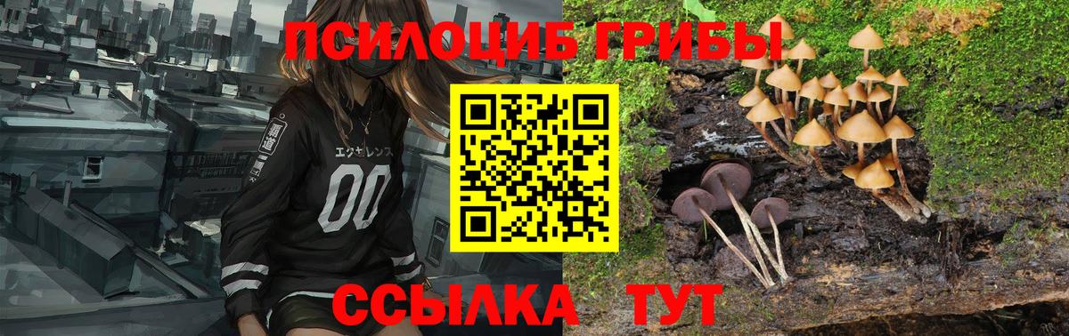 Псилоцибиновые грибы Psilocybe  Псилоцибиновые грибы ЛСД  Вход с VPN  Сегежа 